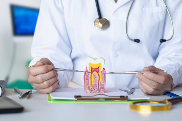Best Pediatric Emergency Dentist in Norwalk, IA